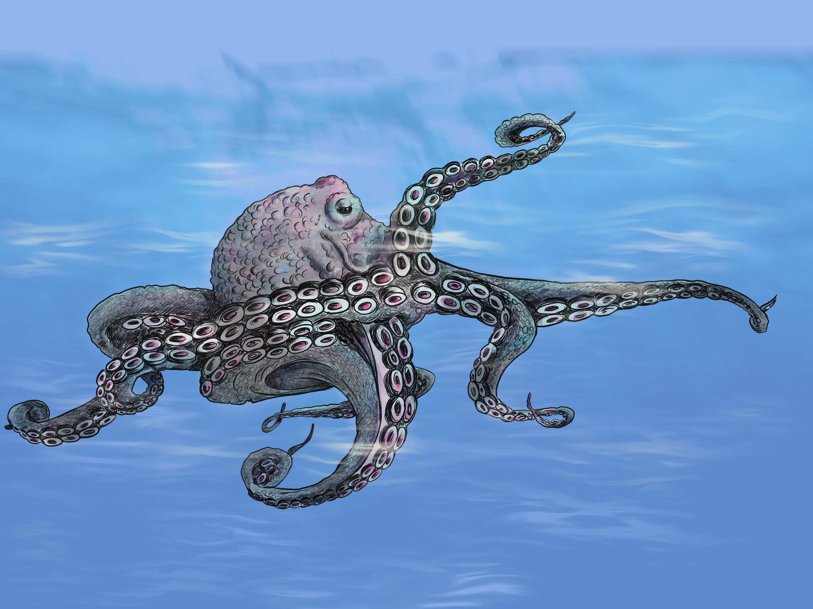 Digital-Octopus