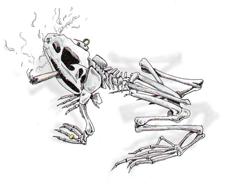 Dead Frog Sketch