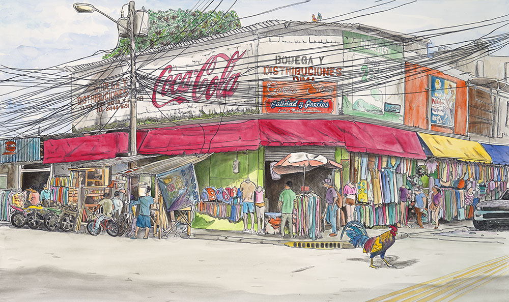 Why did the Chicken Cross the Road - Watercolor, La Ceiba, Honduras