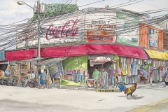 Why did the Chicken Cross the Road - Watercolor, La Ceiba, Honduras